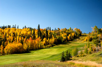 Hillside of Fall Color