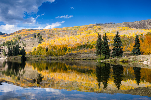 Fall Reflections in a Mountain Pond