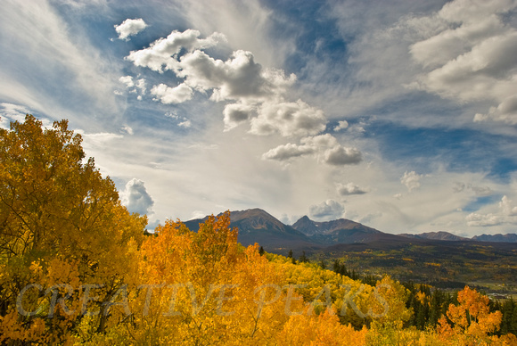 Aspens and Clouds